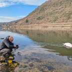 Von Deutschland nach Luxemburg