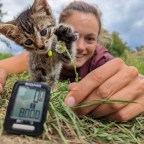 Monatliche Statistik – September 2022