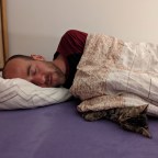 Monatliche Statistik – Oktober 2022